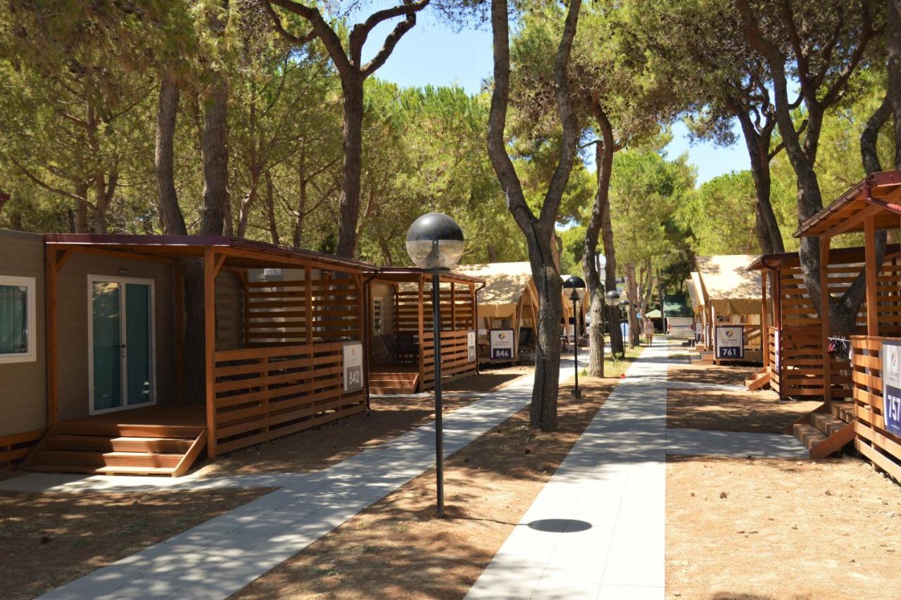 Small Camp Salinello Tortoreto Exterior foto